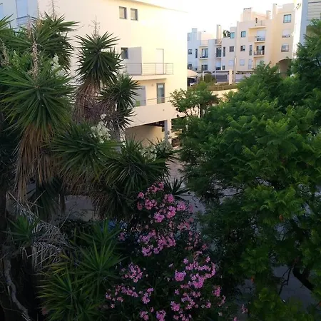 The Lisbon'S Light - Bed And Breakfast - Apartment Shared With The Hosts Homestay Lisbon